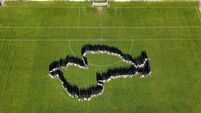 The Pitch: ‘Ladyball’ goes full circle as more brands see value in LGFA