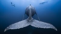 Anja Murray: Radical changes required to let the oceans recover