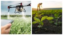 Michelle McKeown: Can we feed the world and save it too?
