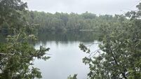 Michelle McKeown: Crawford Lake and the marking of human impact on nature
