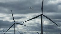 Whitelee Windfarm