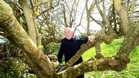 William Wall: How a decades-old hip replacement turned me into a medical exhibit in Italy