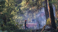 Turkey Wildfires