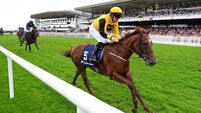 Pivotal Attack has Murphy dreaming big again 